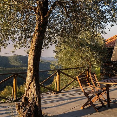 Willa Casa Da Colina Amarante Zewnętrze zdjęcie